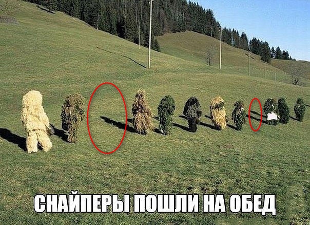 Веселые картинки в пятницу (10.01)