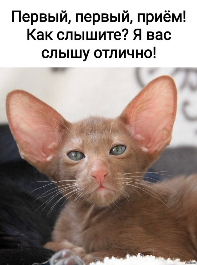 Весёлые картинки 2