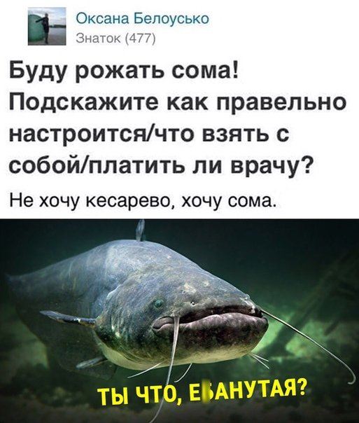 Охота была удачной