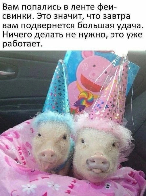 Веселые картинки в маленькую пятницу (09.04)