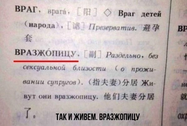 Картинки для деградации 9 (разной степени свежести)