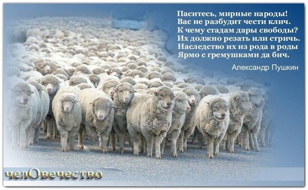 Правительство перенесло запуск в крупном масштабе российского мессенджера MAX?!