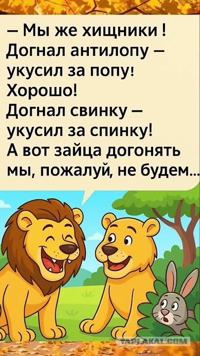 Картинки всякие разные невпопад