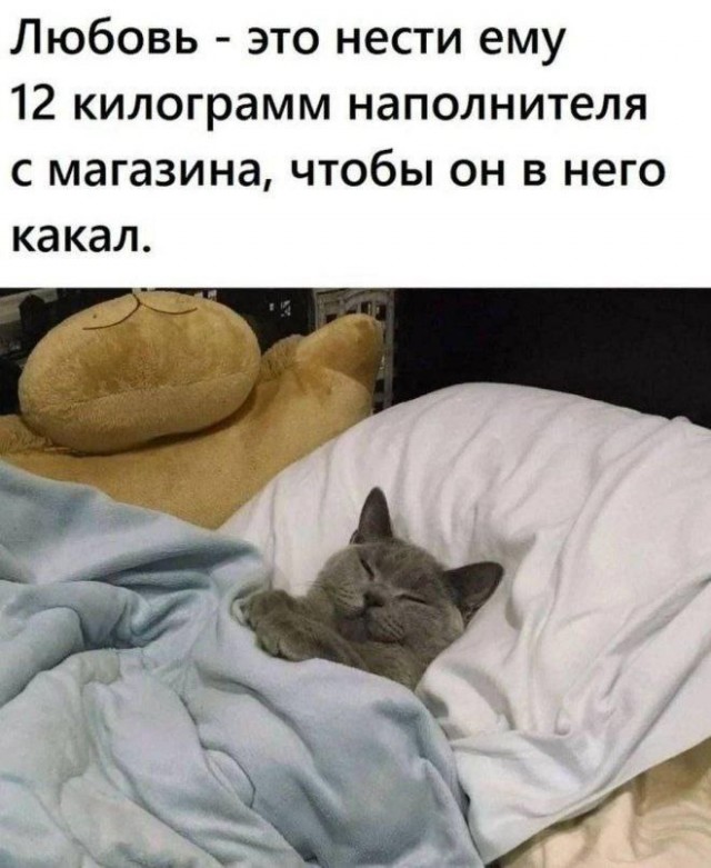 Веселое настроение в картинках (19.11.2025)