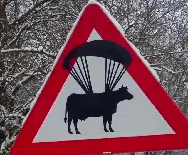Когда ничего нельзя...