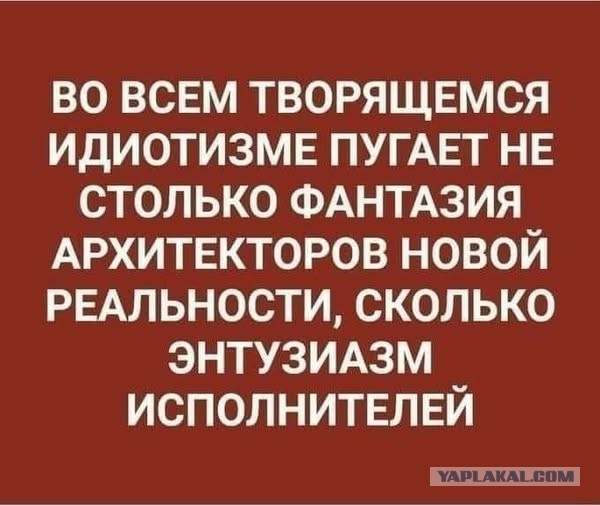 "Если ограничить работу всех мессенджеров, но оставить только MAX, то проблема IT-преступлений будет решена"