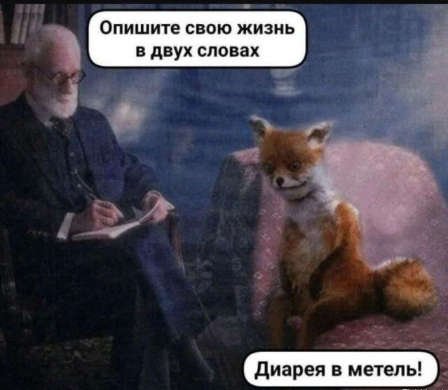 Смешные комментарии из социальных сетей 08.03.2026