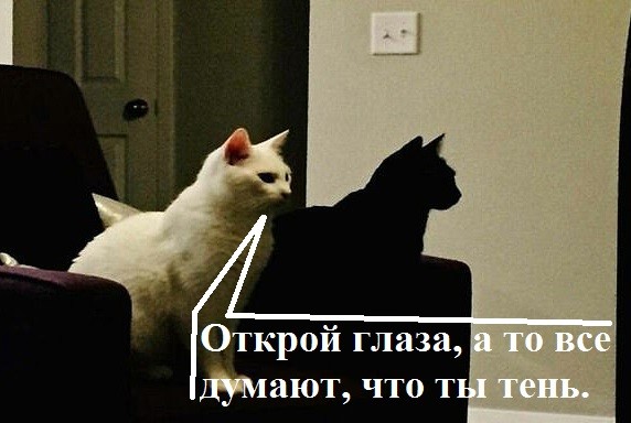 Мастера маскировки