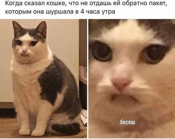 Забавные картинки, шутки из этих ваших интернетов