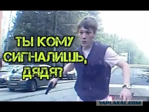 Всех научил
