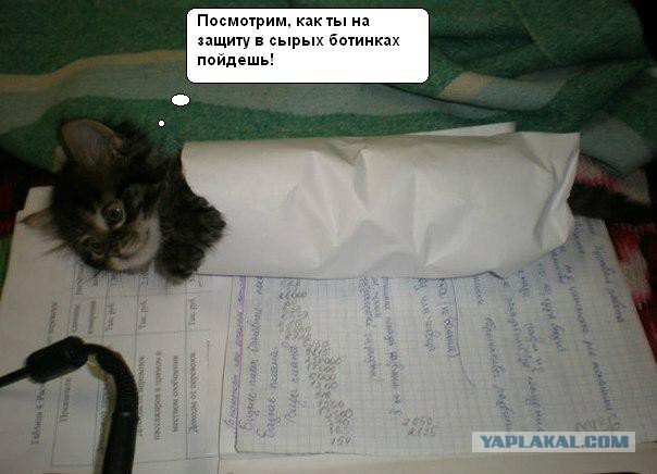 Он просто мешал