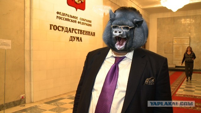 Митрофанова просят лишить неприкосновенности