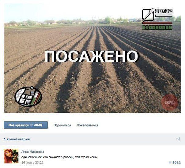 Очередная подборка смешных высказываний