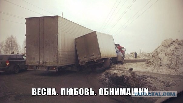 Подборка забавных фотографий