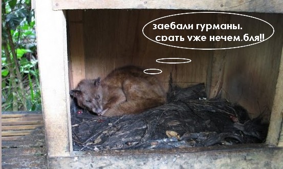 Кофейку ароматного?