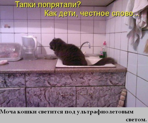 Факты в картинках