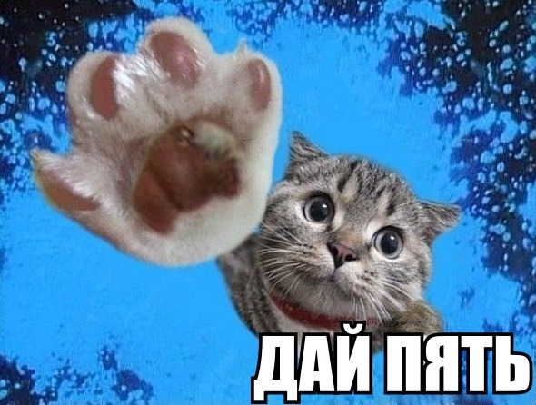 На американскую авто-выставку на 21-й Волге
