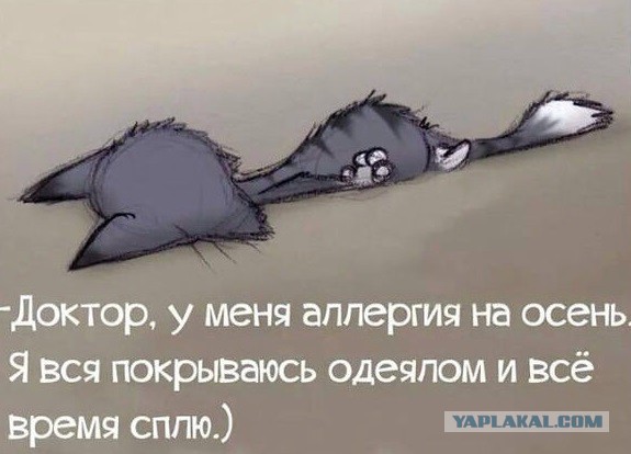 Найденыш...
