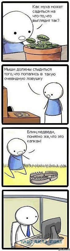 Кошки такие кошки