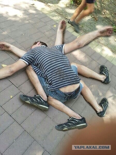 Сон сморил богатыря
