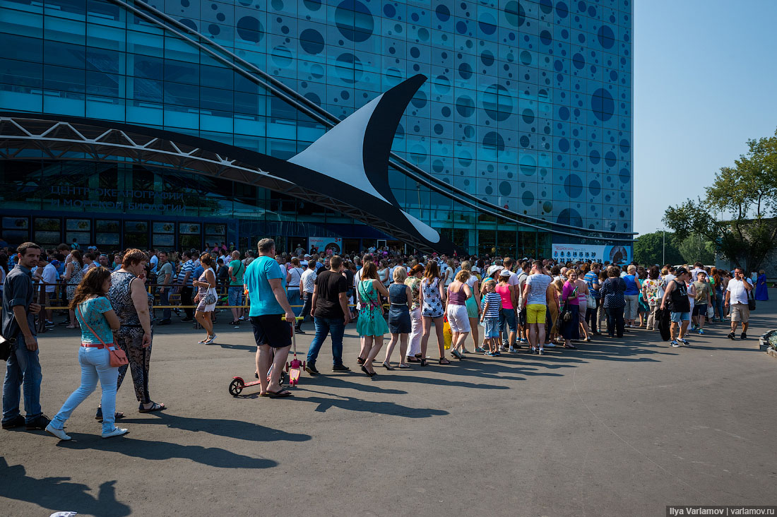 Москвариум Со Скидкой