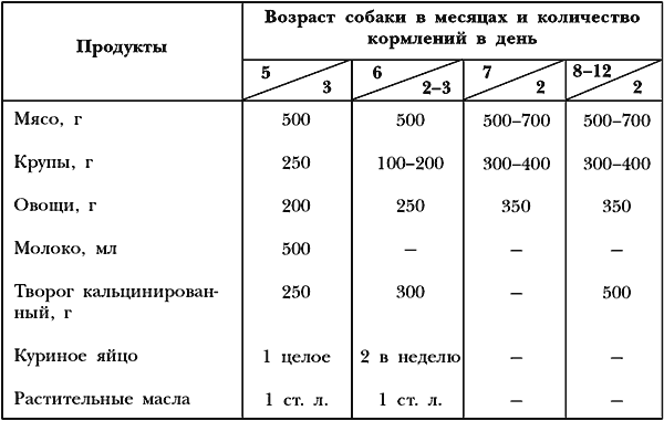 Как кормить немца, если ты русская.