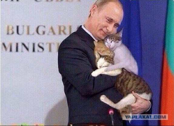 Путин все контролирует.