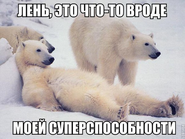 Картинки на пятницу