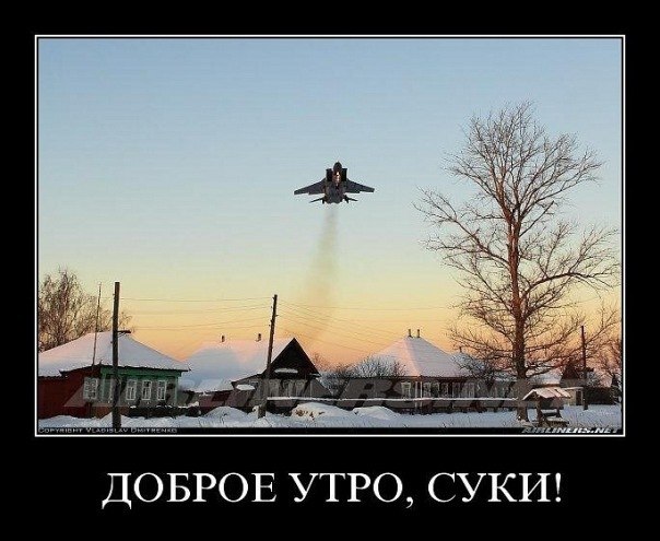 Картинки и демотиваторы