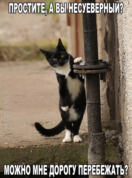 Разные картинки