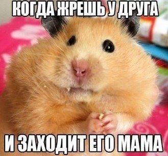 Немного картинок