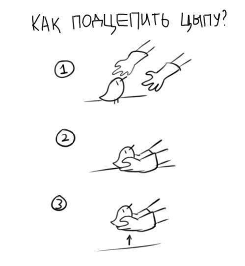 Подборка картинок из сети
