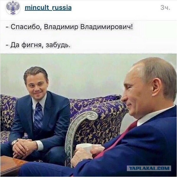 Свежая, утренняя, подборка картинок.