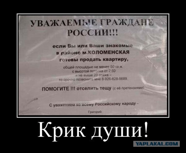 Настоящий крик души выглядит именно так