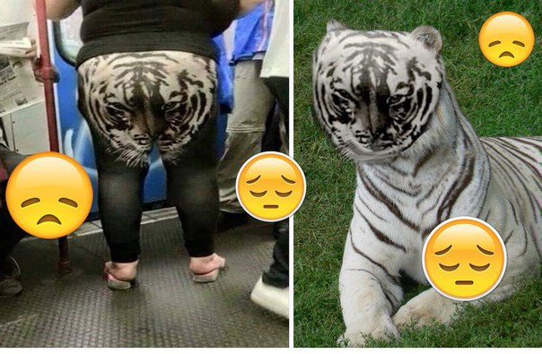 Ужасы и приколы из соцсетей 18+