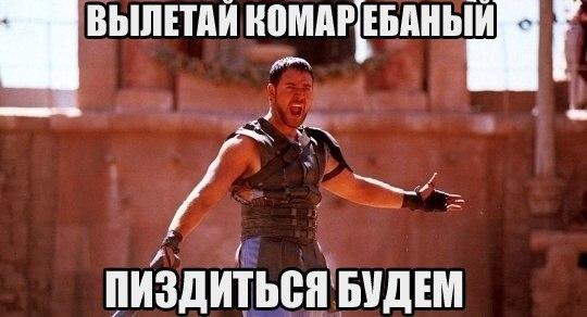 Смешные комментарии 12.06.2016