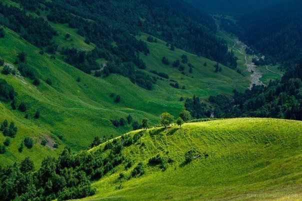 Картинки для отдыха глаз