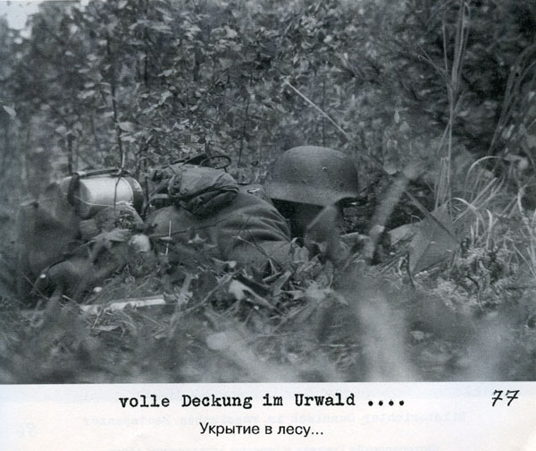 Волховский фронт. 1942. Взгляд с той стороны.