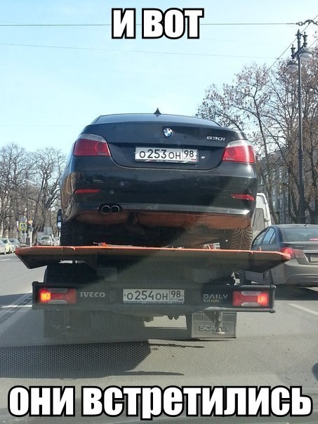 Порция картинок из сети.