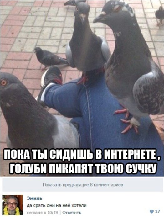 Порция картинок из сети