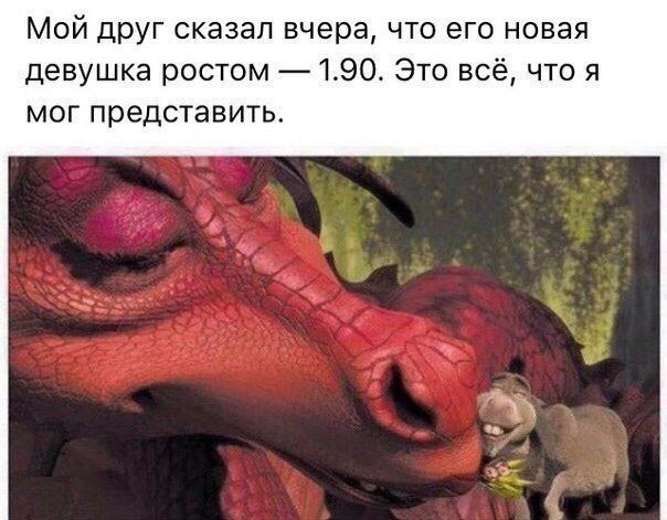 Ужасы и приколы из соцсетей 18+