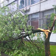В Москве ураган!