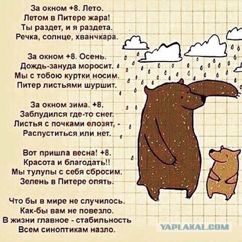 Питерские и околопитерские картинки