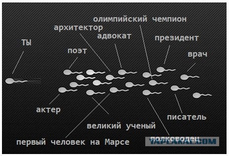 Люди, вы чё, Опять?