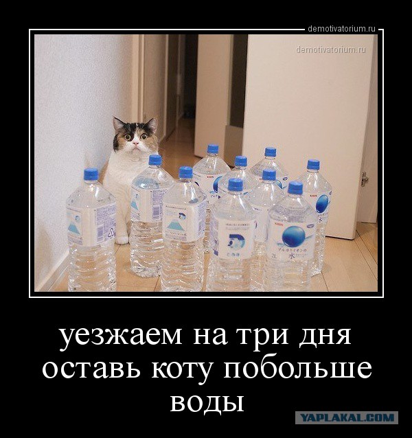 Надо же! Всю жизнь кормлю кота неправильно.