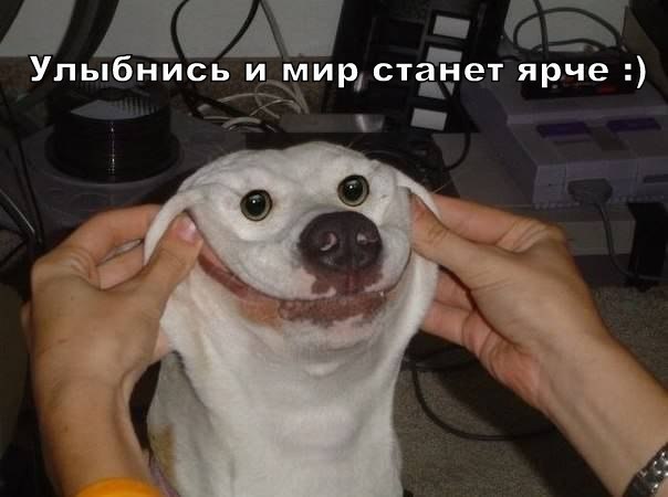 130 картинок для поднятия настроения!