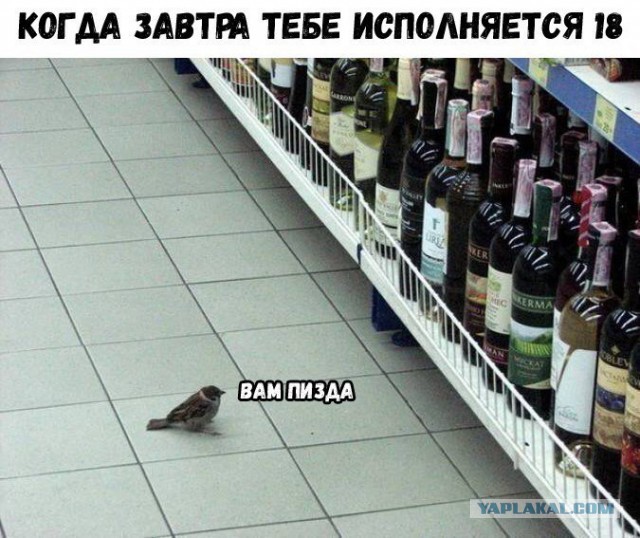 Журнал Деградант. Легкая версия