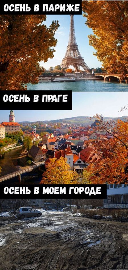 Подборка интересных и веселых картинок