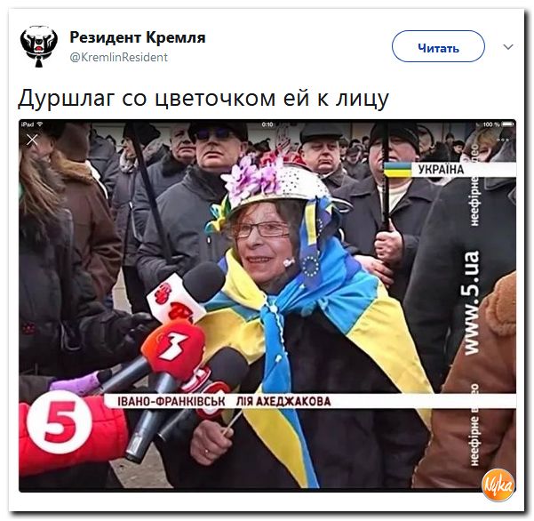 СУГС, хули