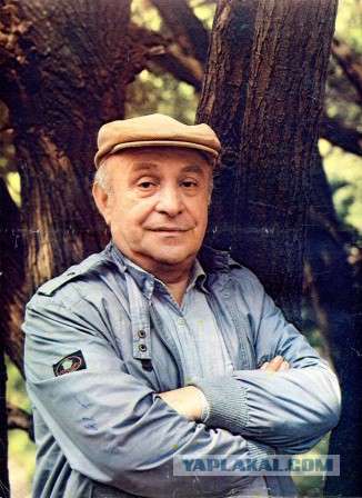 Советские актёры на обложках журнала «Советский экран» за 1981 год